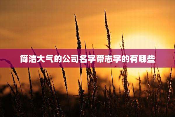 简洁大气的公司名字带志字的有哪些
