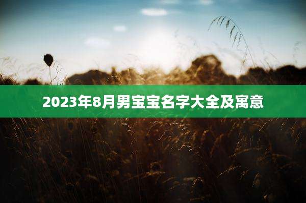 2023年8月男宝宝名字大全及寓意