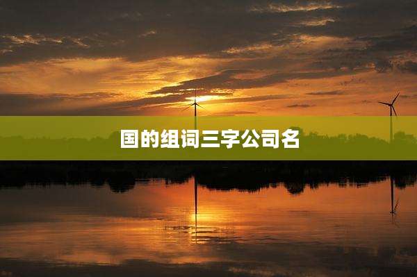 国的组词三字公司名