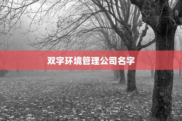 双字环境管理公司名字