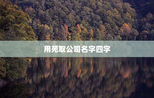 用苑取公司名字四字