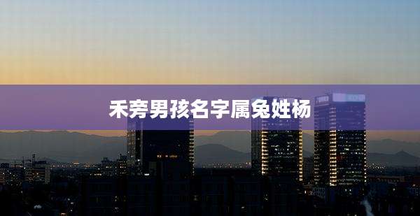 禾旁男孩名字属兔姓杨