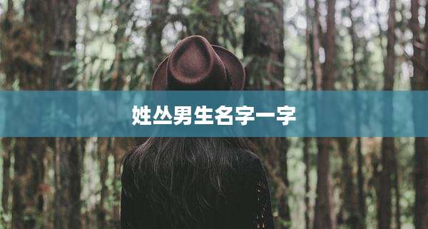 姓丛男生名字一字