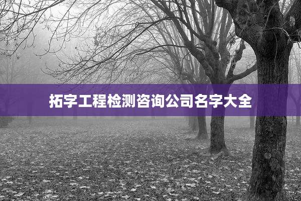 拓字工程检测咨询公司名字大全