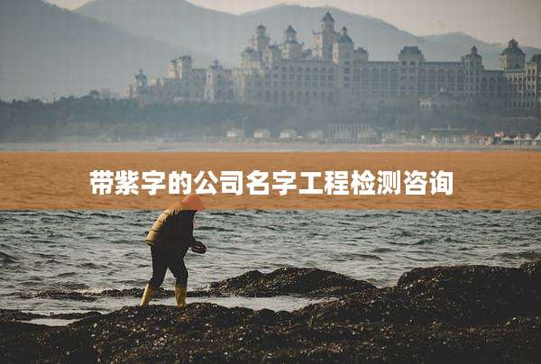 带紫字的公司名字工程检测咨询