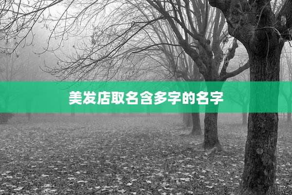 美发店取名含多字的名字