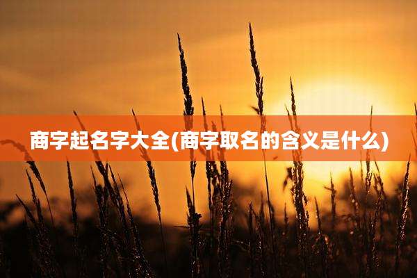 商字起名字大全(商字取名的含义是什么)