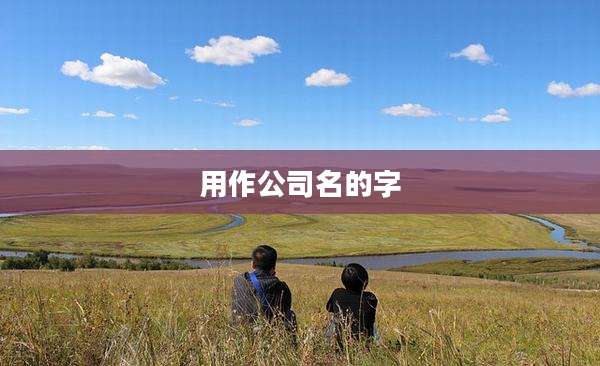 用作公司名的字