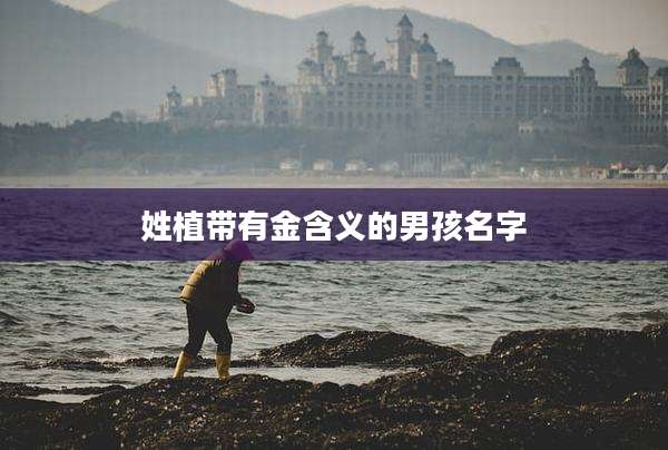 姓植带有金含义的男孩名字