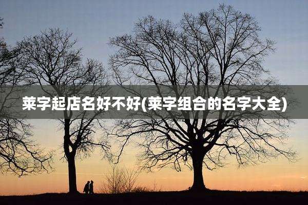 莱字起店名好不好(莱字组合的名字大全)