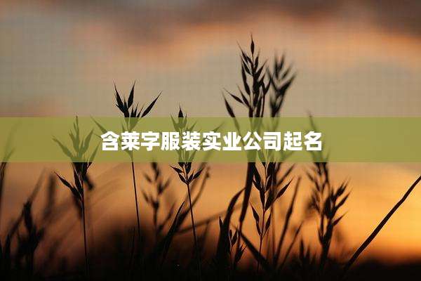 含莱字服装实业公司起名