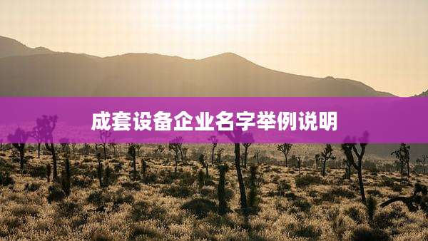 成套设备企业名字举例说明