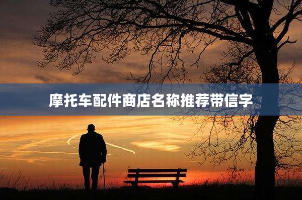 摩托车配件商店名称推荐带信字