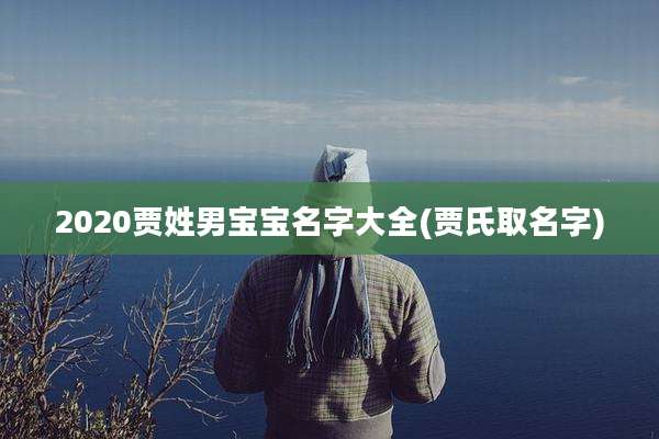 2020贾姓男宝宝名字大全(贾氏取名字)