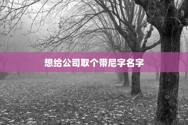 想给公司取个带尼字名字