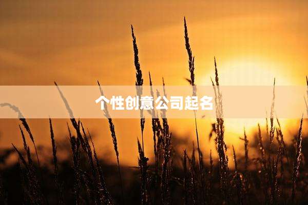 个性创意公司起名