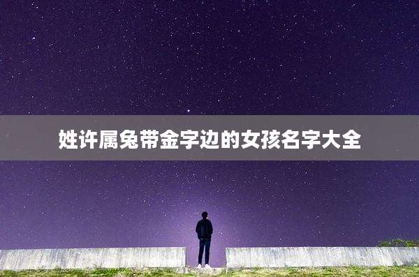 姓许属兔带金字边的女孩名字大全