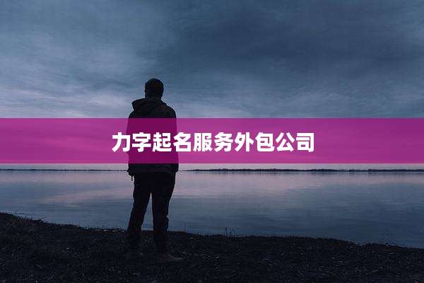 力字起名服务外包公司