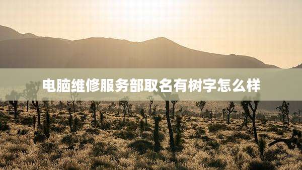 电脑维修服务部取名有树字怎么样