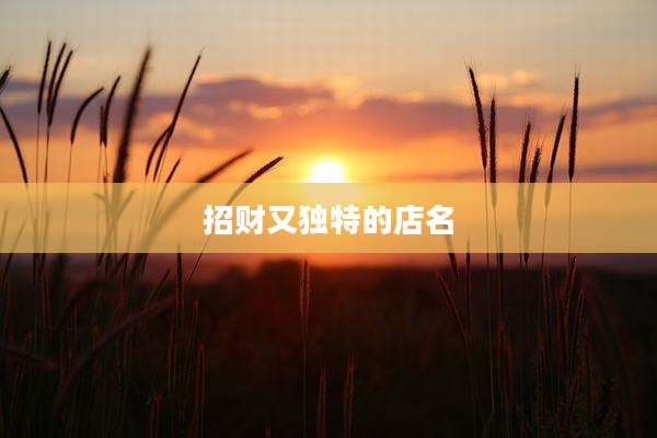招财又独特的店名