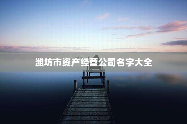 潍坊市资产经营公司名字大全
