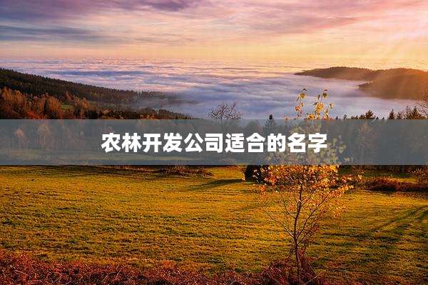 农林开发公司适合的名字