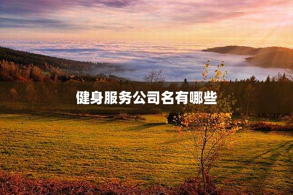 健身服务公司名有哪些