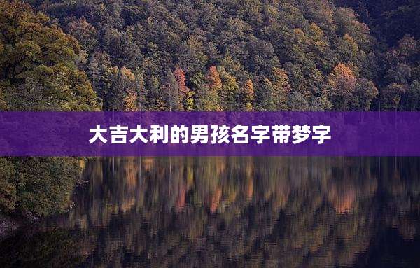 大吉大利的男孩名字带梦字