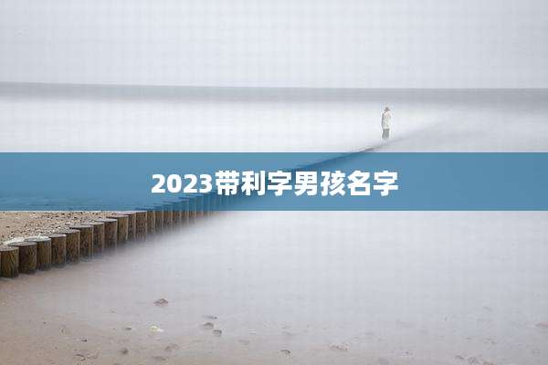 2023带利字男孩名字