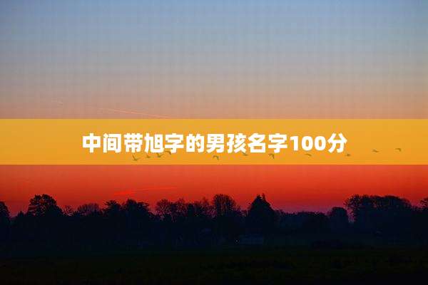 中间带旭字的男孩名字100分