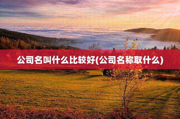 公司名叫什么比较好(公司名称取什么)