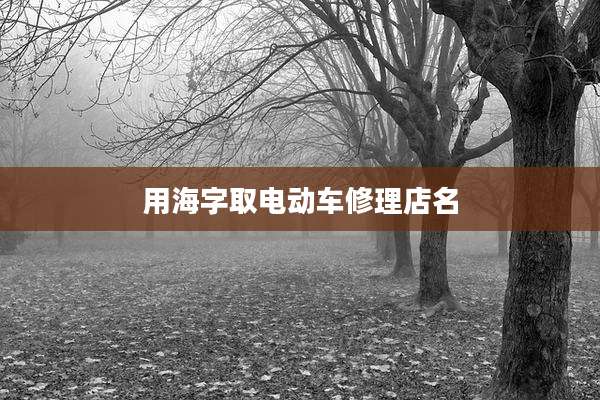 用海字取电动车修理店名