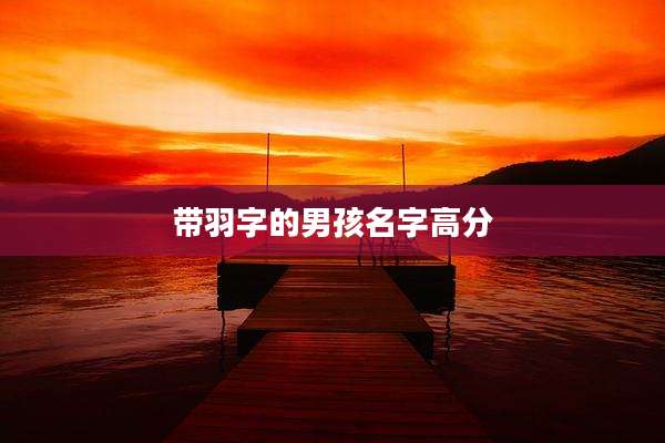 带羽字的男孩名字高分