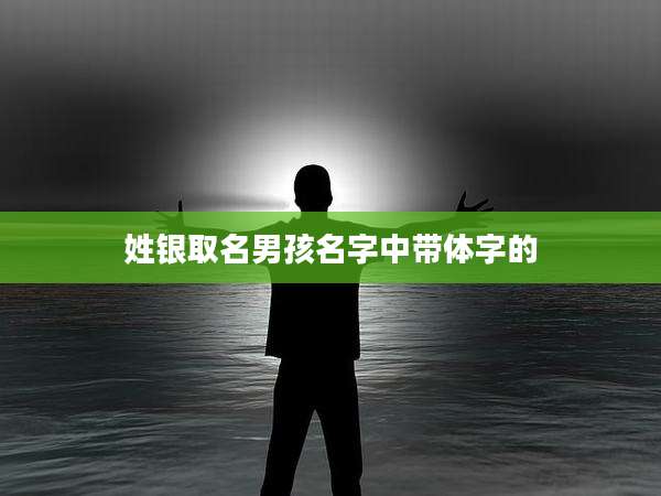 姓银取名男孩名字中带体字的