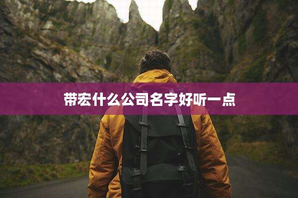 带宏什么公司名字好听一点