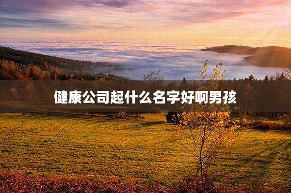 健康公司起什么名字好啊男孩
