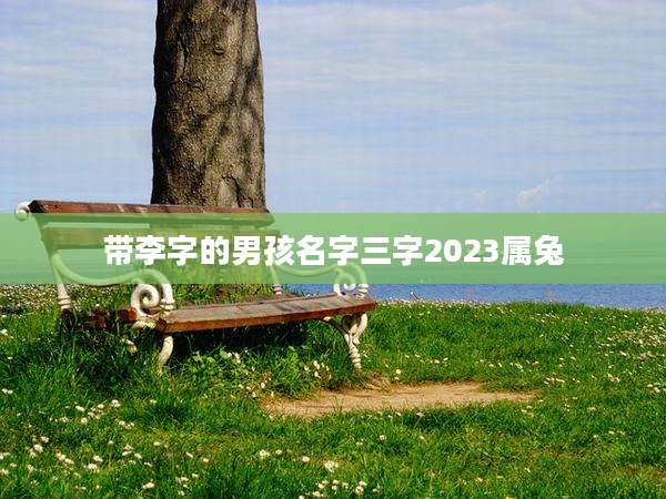 带李字的男孩名字三字2023属兔