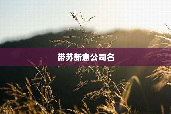 带苏新意公司名
