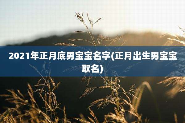 2021年正月底男宝宝名字(正月出生男宝宝取名)