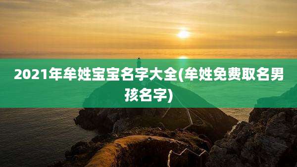 2021年牟姓宝宝名字大全(牟姓免费取名男孩名字)