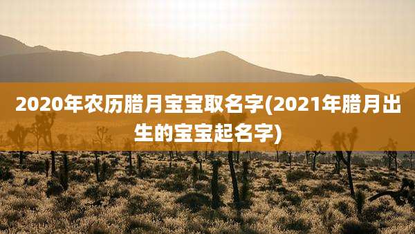 2020年农历腊月宝宝取名字(2021年腊月出生的宝宝起名字)