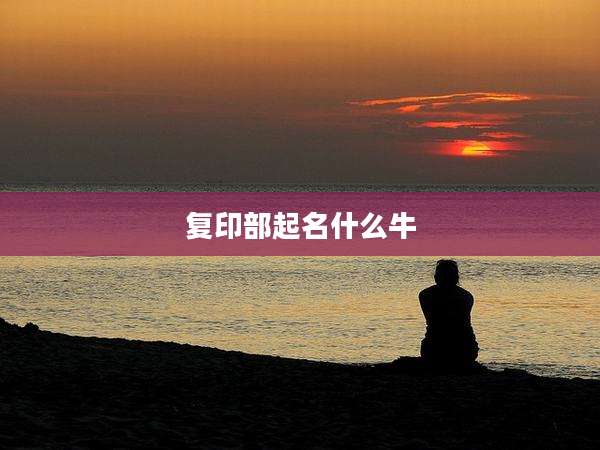 复印部起名什么牛