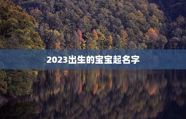 2023出生的宝宝起名字