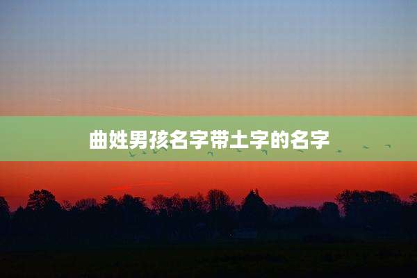 曲姓男孩名字带土字的名字