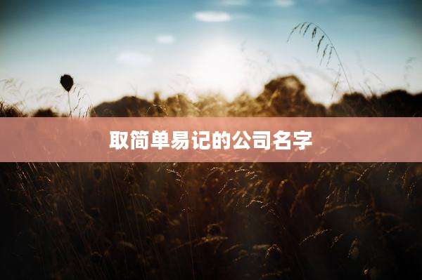 取简单易记的公司名字