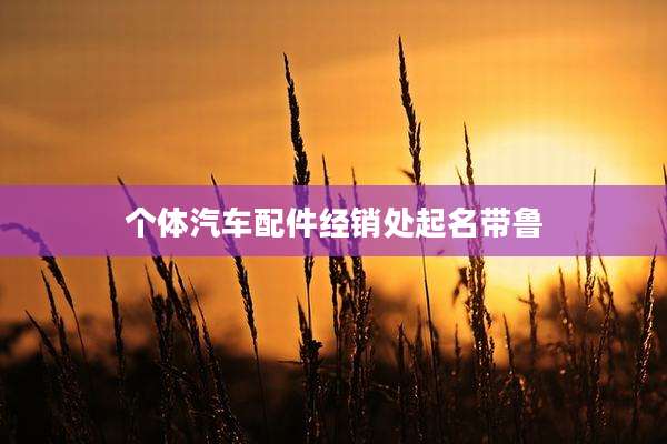 个体汽车配件经销处起名带鲁