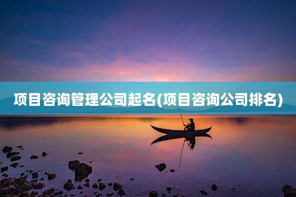 项目咨询管理公司起名(项目咨询公司排名)