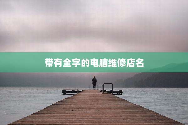 带有全字的电脑维修店名