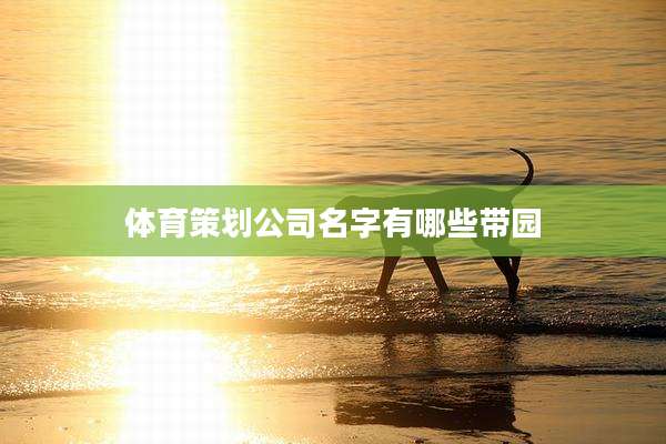 体育策划公司名字有哪些带园