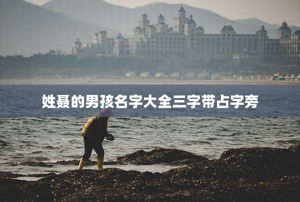 姓聂的男孩名字大全三字带占字旁